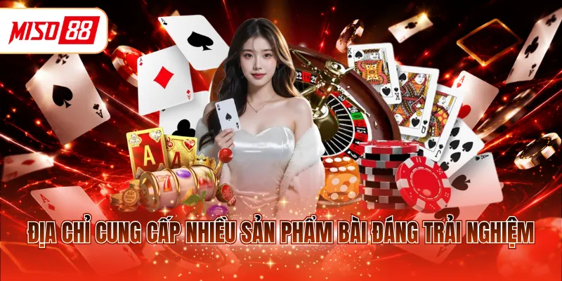 Địa chỉ cung cấp nhiều sản phẩm bài đáng trải nghiệm