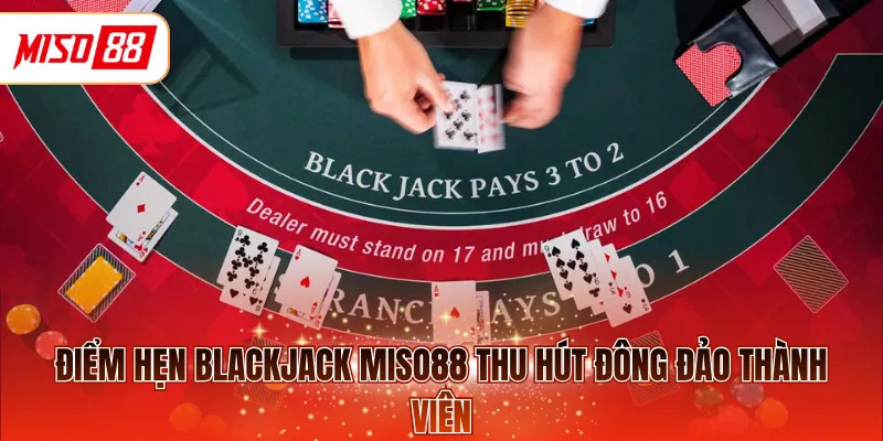 Điểm hẹn Blackjack MISO88 thu hút đông đảo thành viên