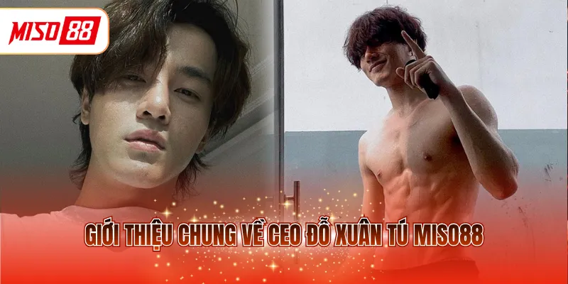 Giới thiệu chung về CEO Đỗ Xuân Tú MISO88