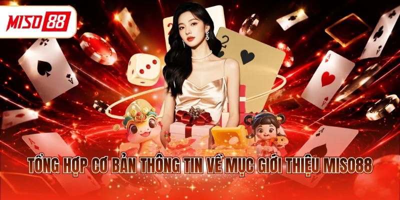 Tổng hợp cơ bản thông tin về mục giới thiệu MISO88