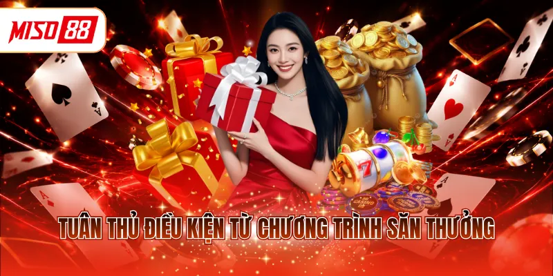 Tuân thủ điều kiện từ chương trình săn thưởng